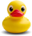 Image of duck